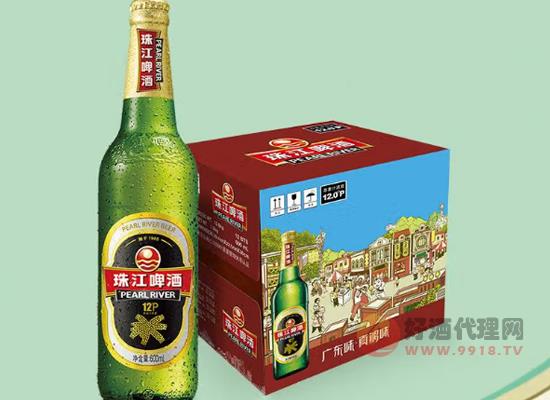 珠江啤酒12度多少錢，麥香濃郁