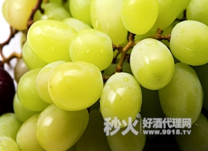 贵人香葡萄，来自东方的宝藏品种