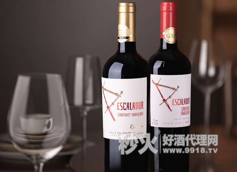 冰川攀登者智利原瓶進口紅酒干紅葡萄酒的價格是多少呢