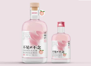 不等式果酒蜜桃味300ml怎么样？多少钱？