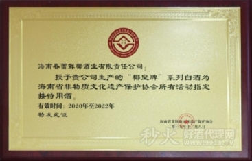海南省非物质文化遗产保护协会